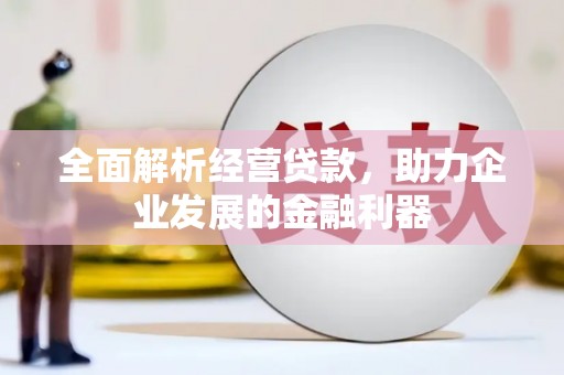中堂全面解析经营贷款，助力企业发展的金融利器