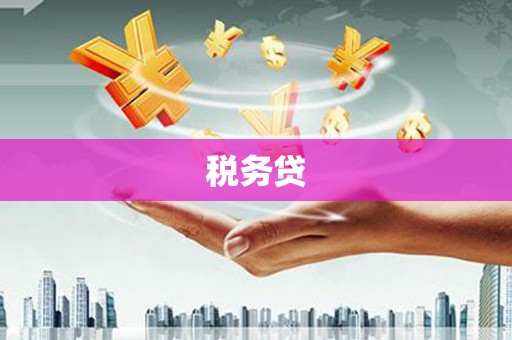 中堂税务贷