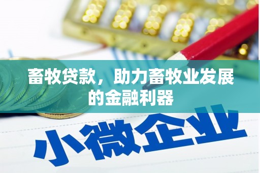 中堂畜牧贷款，助力畜牧业发展的金融利器