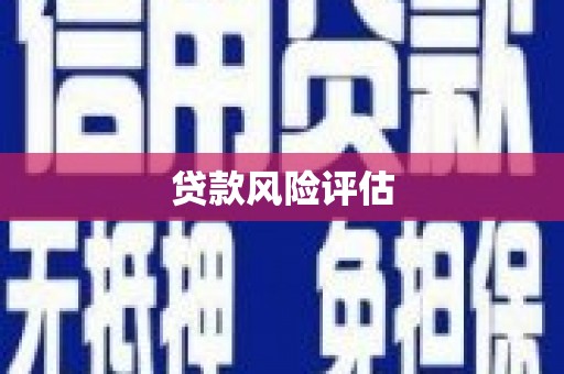中堂贷款风险评估