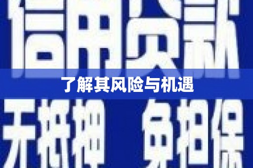 中堂了解其风险与机遇