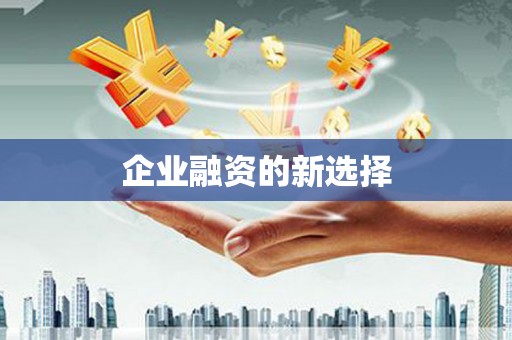 中堂企业融资的新选择