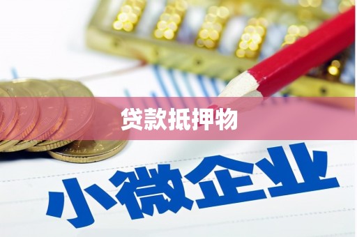 中堂贷款抵押物