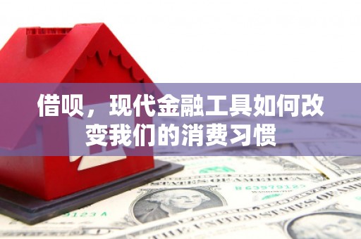 中堂借呗，现代金融工具如何改变我们的消费习惯
