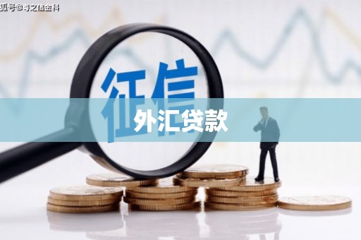 中堂外汇贷款
