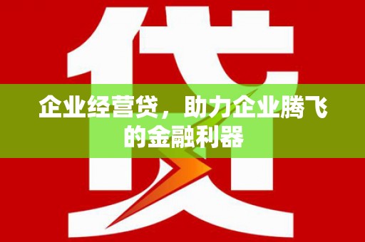 中堂企业经营贷，助力企业腾飞的金融利器