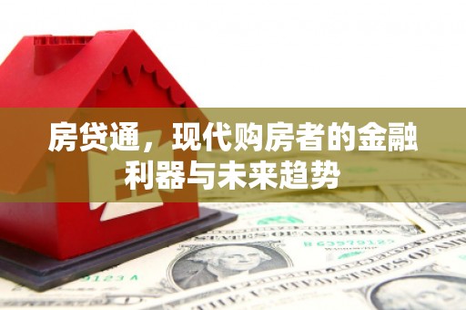 中堂房贷通，现代购房者的金融利器与未来趋势