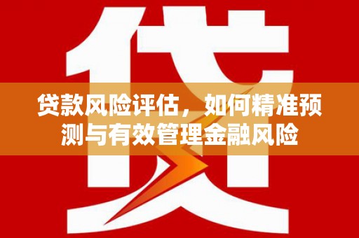 中堂贷款风险评估，如何精准预测与有效管理金融风险