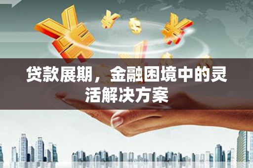 中堂贷款展期，金融困境中的灵活解决方案
