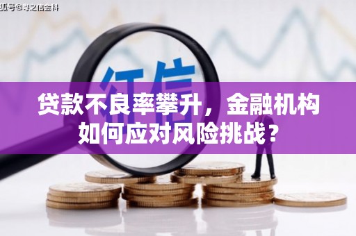 中堂贷款不良率攀升，金融机构如何应对风险挑战？