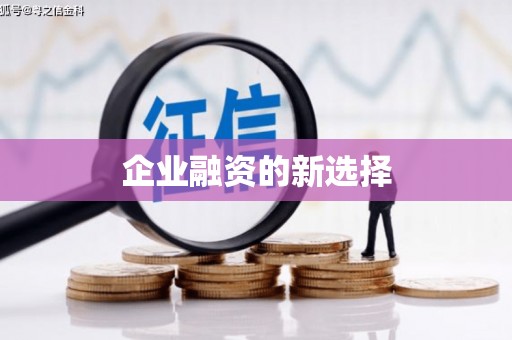 中堂企业融资的新选择