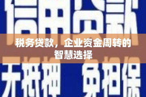 中堂税务贷款，企业资金周转的智慧选择