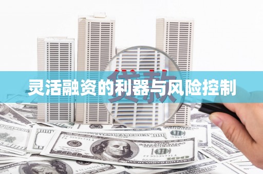 中堂灵活融资的利器与风险控制