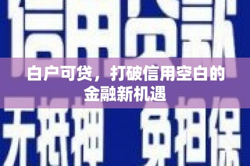 中堂白户可贷，打破信用空白的金融新机遇