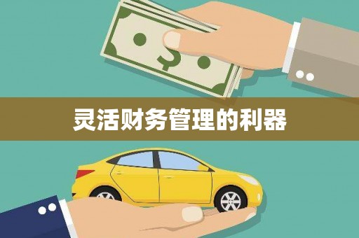 中堂灵活财务管理的利器