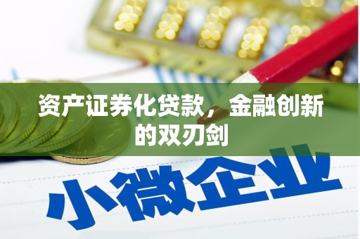 中堂资产证券化贷款，金融创新的双刃剑