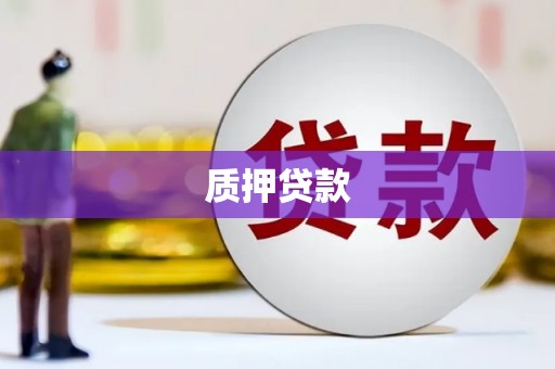 中堂质押贷款