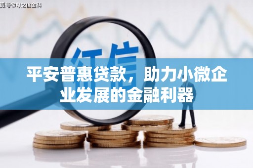 中堂平安普惠贷款，助力小微企业发展的金融利器