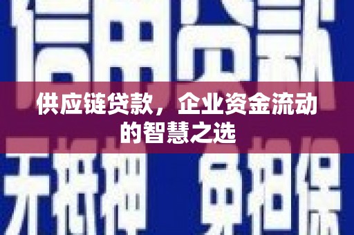 中堂供应链贷款，企业资金流动的智慧之选
