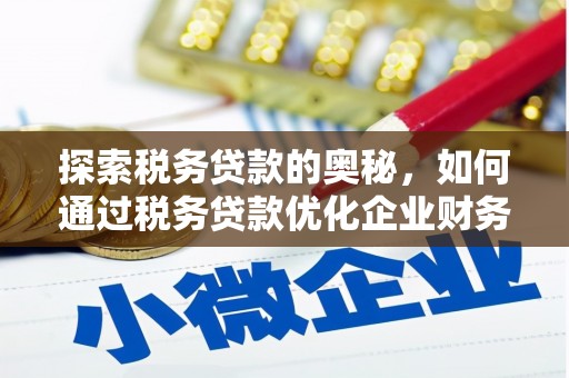 中堂探索税务贷款的奥秘，如何通过税务贷款优化企业财务