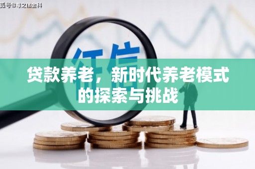中堂贷款养老，新时代养老模式的探索与挑战