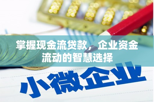 中堂掌握现金流贷款，企业资金流动的智慧选择