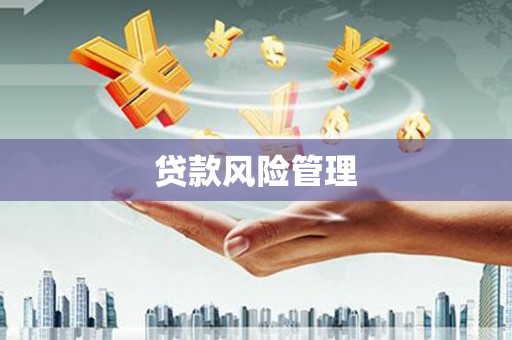 中堂贷款风险管理