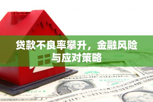 中堂贷款不良率攀升，金融风险与应对策略