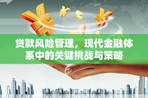 中堂贷款风险管理，现代金融体系中的关键挑战与策略