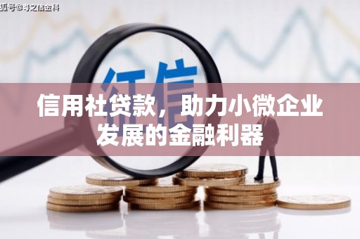 中堂信用社贷款，助力小微企业发展的金融利器