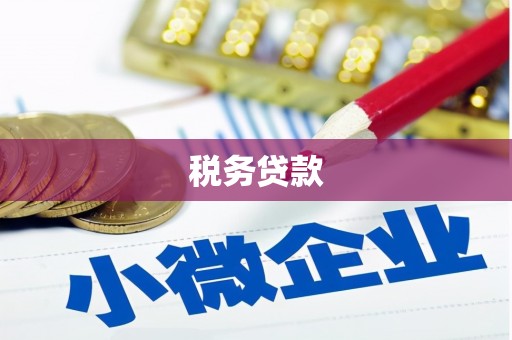 中堂税务贷款