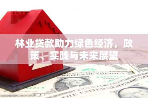 中堂林业贷款助力绿色经济，政策、实践与未来展望