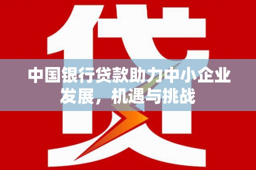 中堂中国银行贷款助力中小企业发展，机遇与挑战