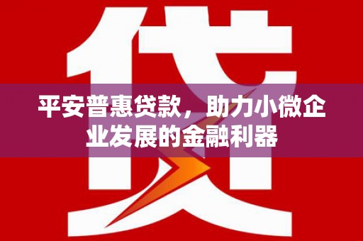 中堂平安普惠贷款，助力小微企业发展的金融利器