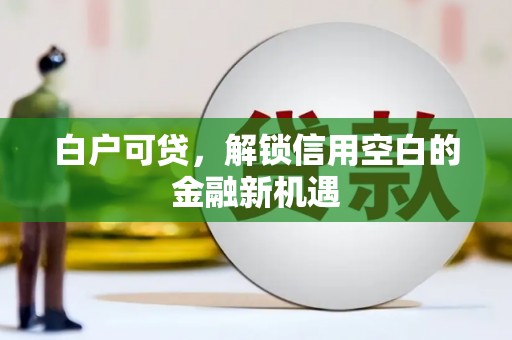 中堂白户可贷，解锁信用空白的金融新机遇