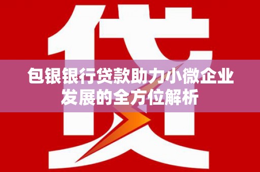 中堂包银银行贷款助力小微企业发展的全方位解析