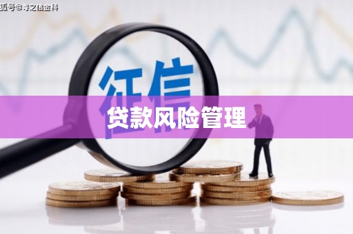 中堂贷款风险管理
