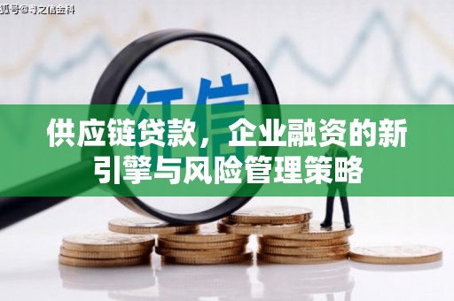 中堂供应链贷款，企业融资的新引擎与风险管理策略