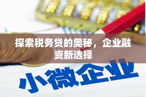 中堂探索税务贷的奥秘，企业融资新选择