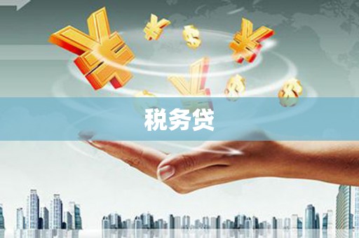 中堂税务贷
