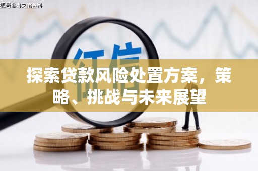 中堂探索贷款风险处置方案，策略、挑战与未来展望