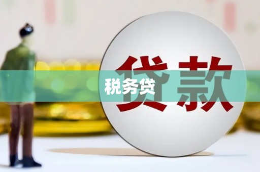 中堂税务贷