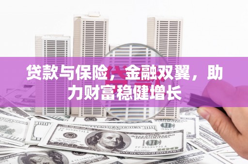 中堂贷款与保险，金融双翼，助力财富稳健增长