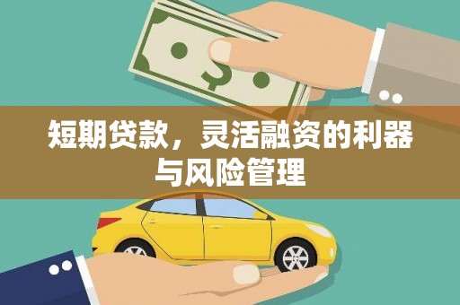 中堂短期贷款，灵活融资的利器与风险管理
