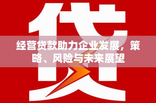 中堂经营贷款助力企业发展，策略、风险与未来展望