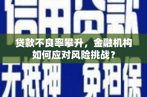中堂贷款不良率攀升，金融机构如何应对风险挑战？