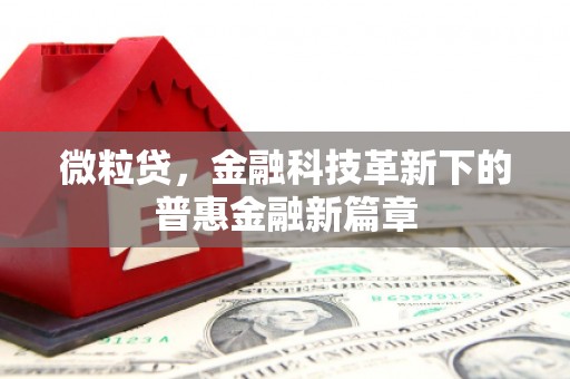 中堂微粒贷，金融科技革新下的普惠金融新篇章