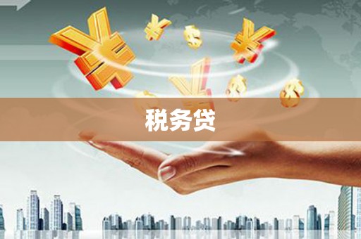 中堂税务贷