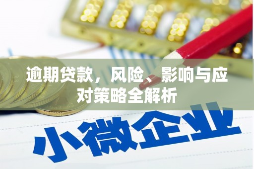 中堂逾期贷款，风险、影响与应对策略全解析