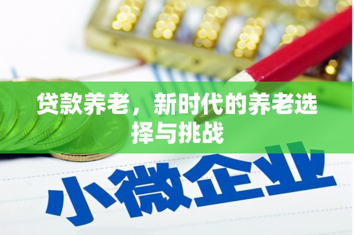 中堂贷款养老，新时代的养老选择与挑战